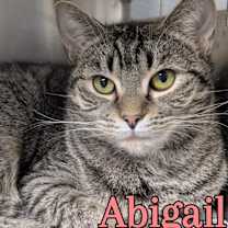 Thumbnail photo of Abigail #1