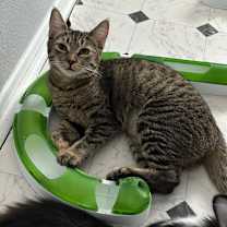 Thumbnail photo of Raspberry #2