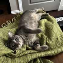 Thumbnail photo of Blossom #3