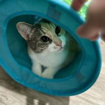 Thumbnail photo of Lila K #3