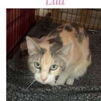 Thumbnail photo of Lila K #4