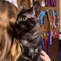 Thumbnail photo of Colton #2