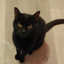 Thumbnail photo of Nicolette #4