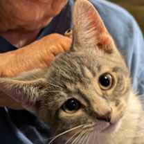 Thumbnail photo of Socks #1