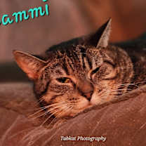 Thumbnail photo of Cammi #1