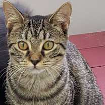 Thumbnail photo of Madelynn #1