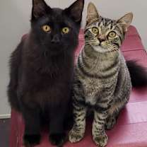 Thumbnail photo of Madelynn #2