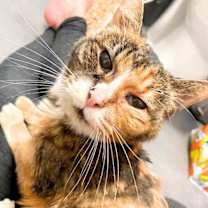 Thumbnail photo of Mariah #1