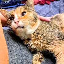 Thumbnail photo of Mariah #2