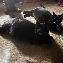 Thumbnail photo of Soldier #2