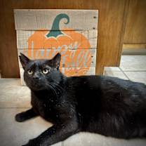 Thumbnail photo of Soldier #3