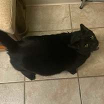 Thumbnail photo of Soldier #4