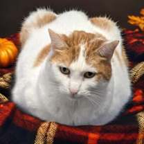 Thumbnail photo of Kyla #4