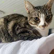Thumbnail photo of Julian #1