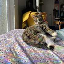 Thumbnail photo of Julian #3