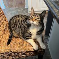 Thumbnail photo of SASHA #3