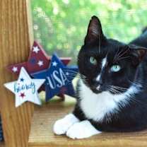 Thumbnail photo of WONKY #4