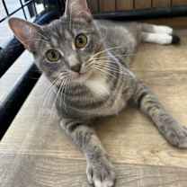 Thumbnail photo of Bobbi #2