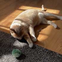 Thumbnail photo of Kelly #2