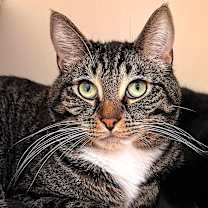 Thumbnail photo of JF Sebastian #1