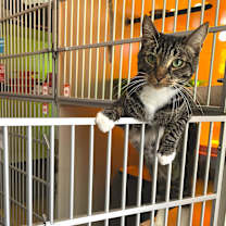 Thumbnail photo of JF Sebastian #3