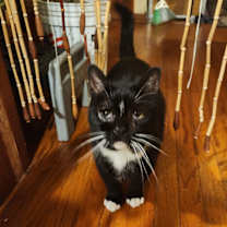 Thumbnail photo of Elvira #2