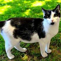 Thumbnail photo of NALA #1