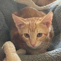 Thumbnail photo of Duncan #3