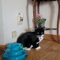 Thumbnail photo of Mama #1