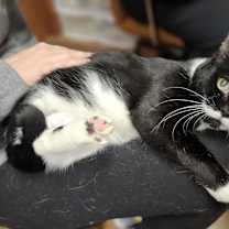 Thumbnail photo of Mama #2