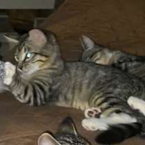 Thumbnail photo of Markus #2