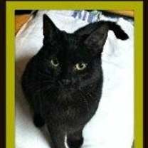 Thumbnail photo of Parker (fka Holden) #1