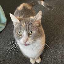 Thumbnail photo of Ursula Melvin #1