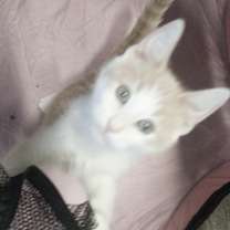 Thumbnail photo of SPROUT #4