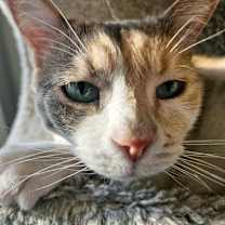Thumbnail photo of Caitlyn #1