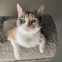 Thumbnail photo of Caitlyn #2