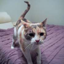 Thumbnail photo of Caitlyn #4