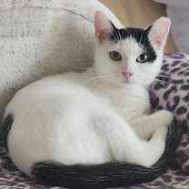 Thumbnail photo of Louisa #1