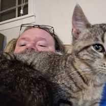 Thumbnail photo of Force #3