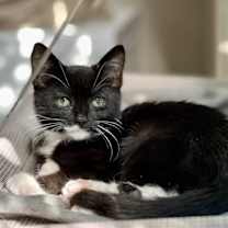 Thumbnail photo of Obie #1