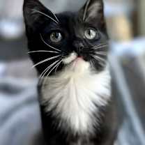 Thumbnail photo of Obie #2