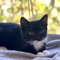 Thumbnail photo of Obie #3
