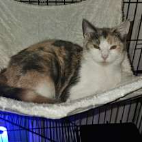 Thumbnail photo of Grace #1