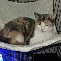 Thumbnail photo of Grace #4