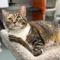 Thumbnail photo of Freya (LA Raya) #1