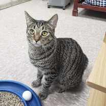 Thumbnail photo of Hank #4