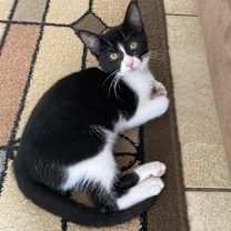 Thumbnail photo of Marc #1