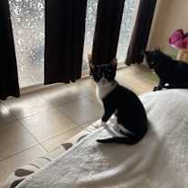 Thumbnail photo of Marc #2