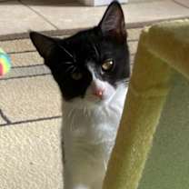 Thumbnail photo of Marc #3