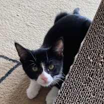 Thumbnail photo of Marc #4